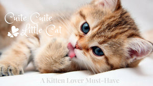 Purrfect Gifts for Kitten Lovers
