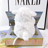 Bunnies By The Bay Wee Kiddo the Lamb with Gift Box-Seven Season
