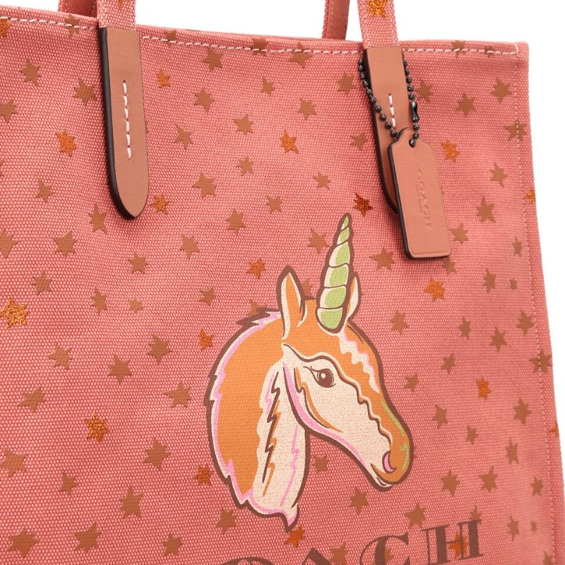 Coach discount star tote