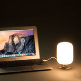 Seven Season Permafrost Playful Pastel USB-Powered Table Lamp