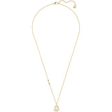 Swarovski Loney Tunes Canary Cage Multi-Colored Gold-Tone Plated Pendant Necklace-Seven Season