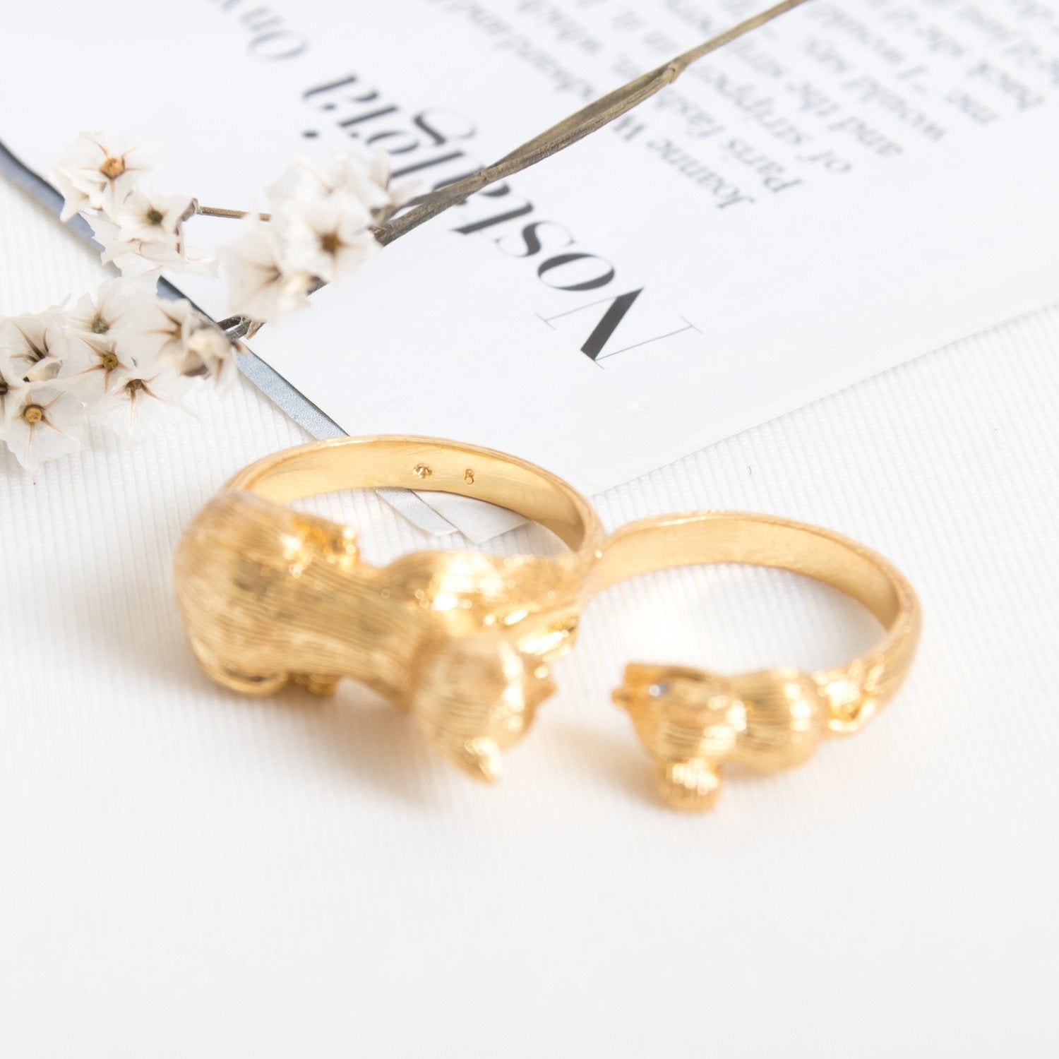 House Cat and Mouse Ring Seven Season
